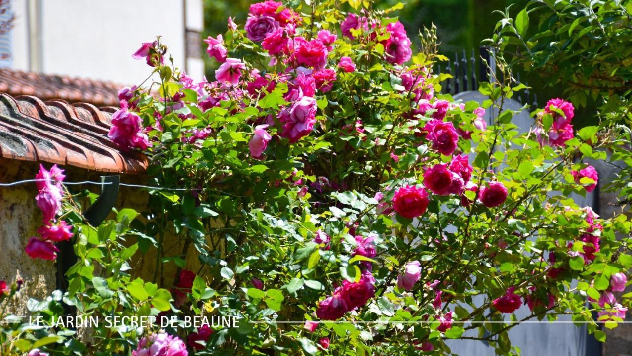 Le Jardin Secret De Beaune ボーヌ エクステリア 写真